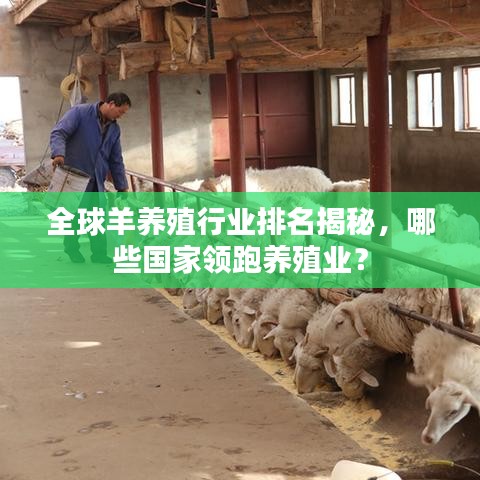 全球羊养殖行业排名揭秘，哪些国家领跑养殖业？