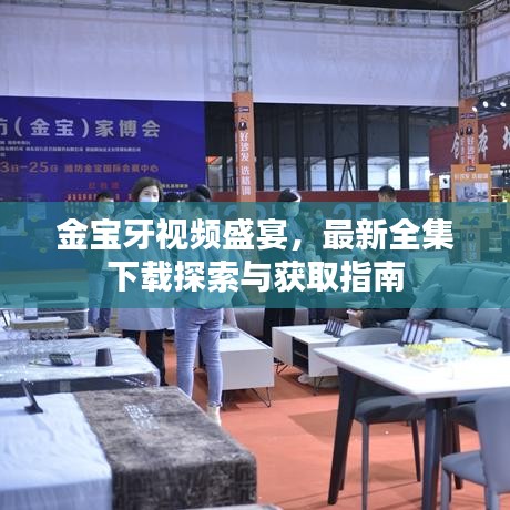 金宝牙视频盛宴,最新全集下载探索与获取指南