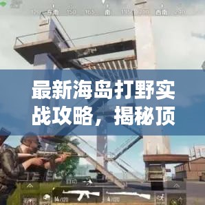 最新海岛打野实战攻略,揭秘顶级打法,助你称霸海岛!