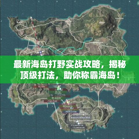 最新海岛打野实战攻略,揭秘顶级打法,助你称霸海岛!