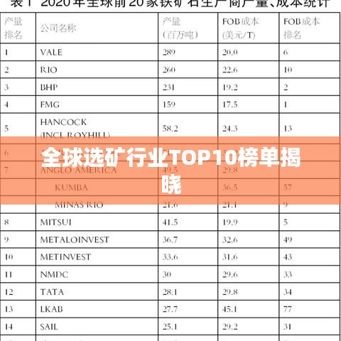 全球选矿行业TOP10榜单揭晓