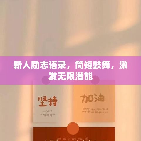 没张倒置 第4页