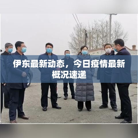 伊东最新动态,今日疫情最新概况速递