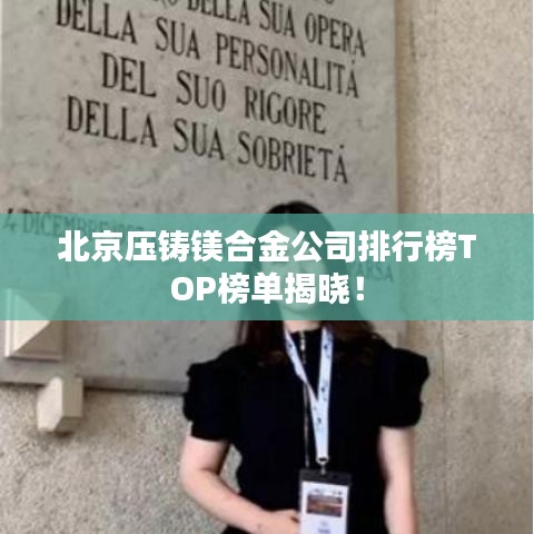 北京压铸镁合金公司排行榜TOP榜单揭晓!
