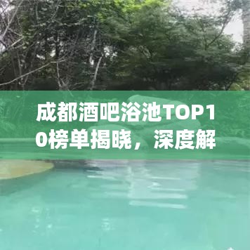 成都酒吧浴池TOP10榜单揭晓,深度解读与独家体验分享
