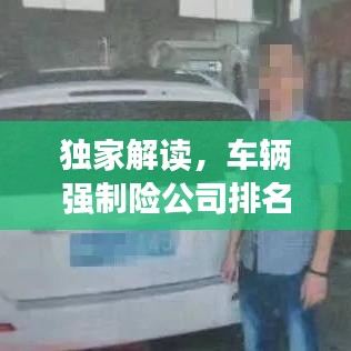 独家解读,车辆强制险公司排名首位深度剖析