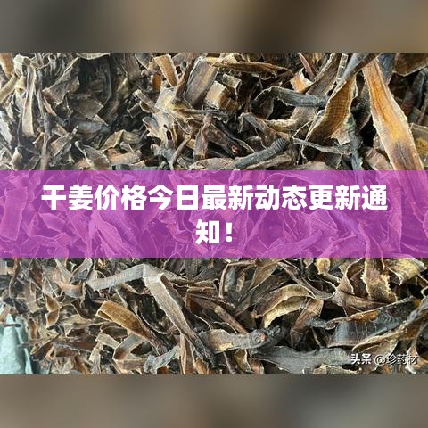 干姜价格今日最新动态更新通知！