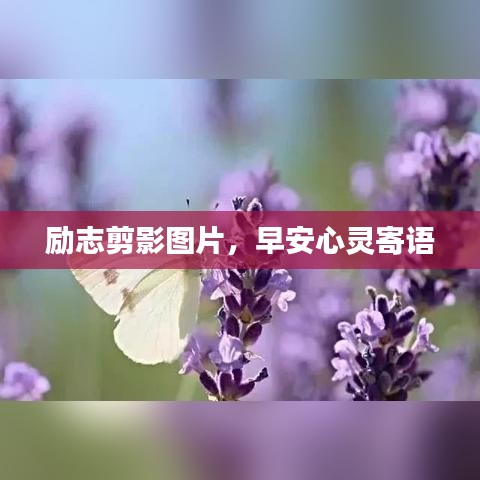 励志剪影图片,早安心灵寄语
