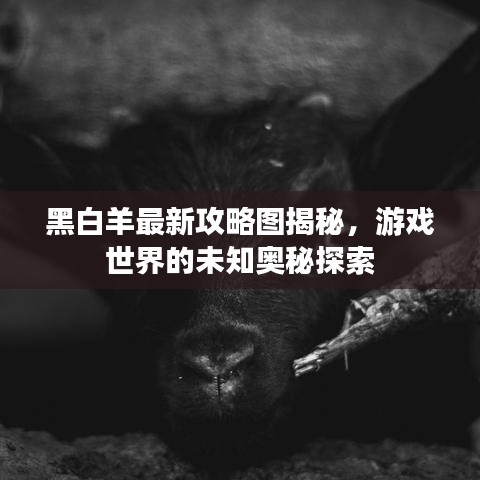 黑白羊最新攻略图揭秘,游戏世界的未知奥秘探索