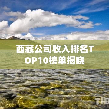 西藏公司收入排名TOP10榜单揭晓