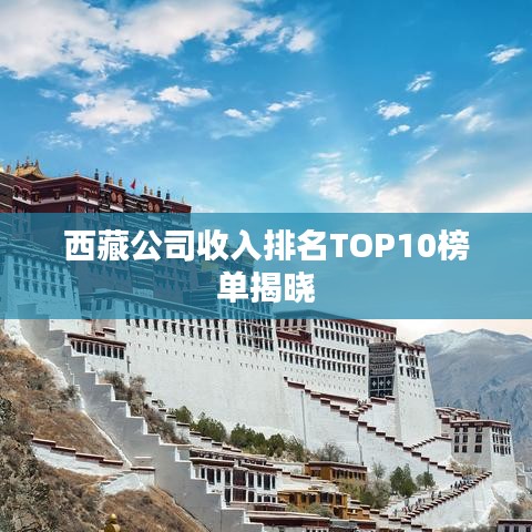 西藏公司收入排名TOP10榜单揭晓