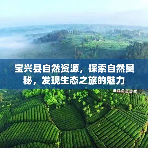 宝兴县自然资源，探索自然奥秘，发现生态之旅的魅力
