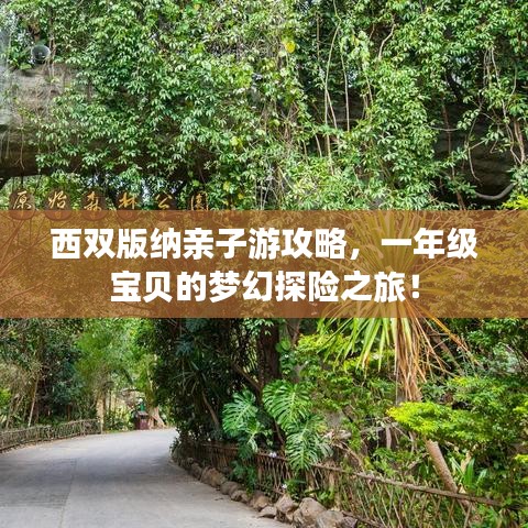 西双版纳亲子游攻略,一年级宝贝的梦幻探险之旅!