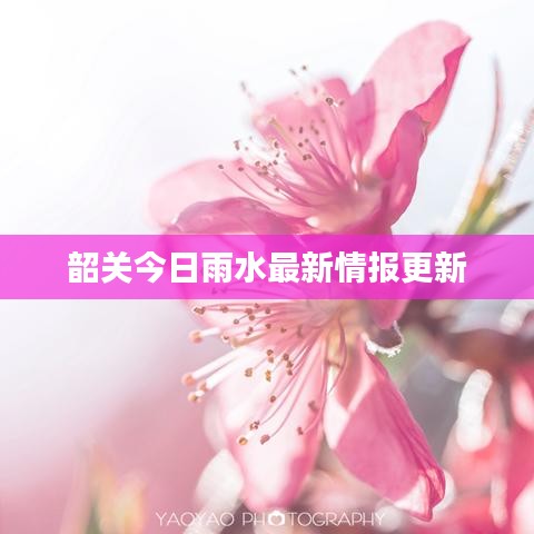 韶关今日雨水最新情报更新