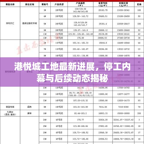 港悦城工地最新进展，停工内幕与后续动态揭秘