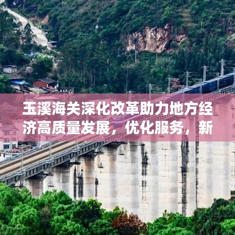 玉溪海关深化改革助力地方经济高质量发展,优化服务,新闻头条抢先看!