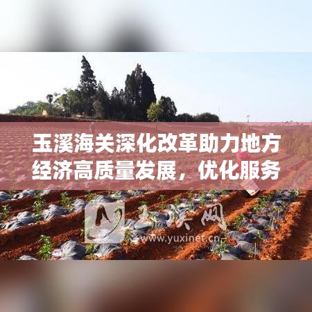 玉溪海关深化改革助力地方经济高质量发展,优化服务,新闻头条抢先看!