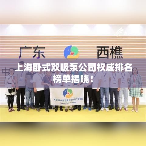 上海卧式双吸泵公司权威排名榜单揭晓！