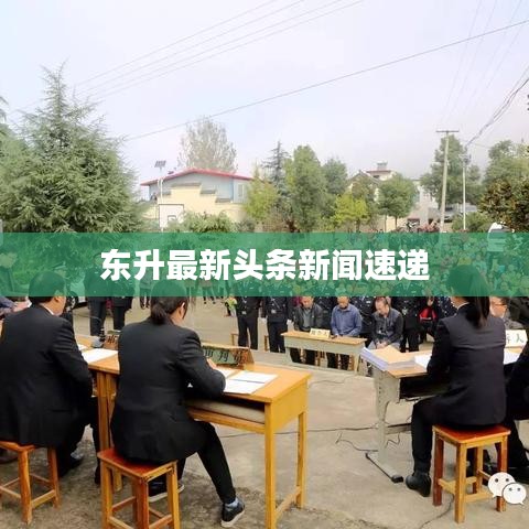 东升最新头条新闻速递