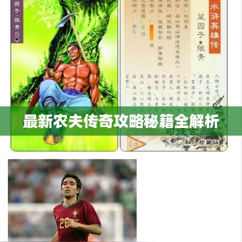 最新农夫传奇攻略秘籍全解析