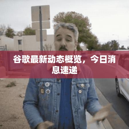 谷歌最新动态概览,今日消息速递