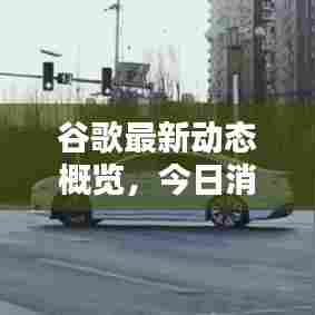 谷歌最新动态概览,今日消息速递