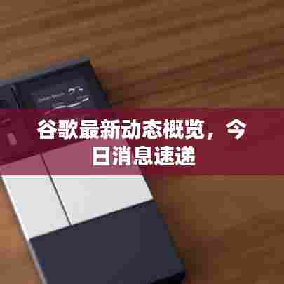 谷歌最新动态概览,今日消息速递