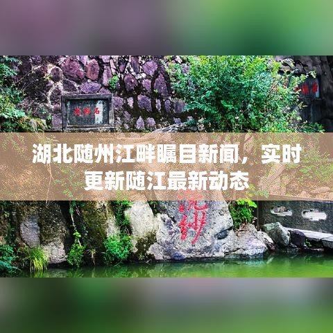 湖北随州江畔瞩目新闻,实时更新随江最新动态