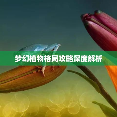 梦幻植物格局攻略深度解析