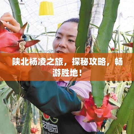 陕北杨凌之旅,探秘攻略,畅游胜地!