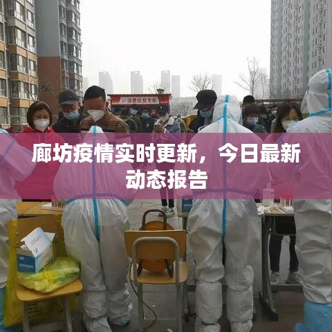 廊坊疫情实时更新,今日最新动态报告