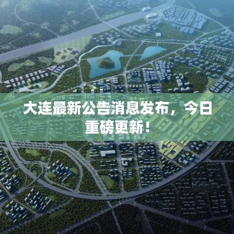 大连最新公告消息发布,今日重磅更新!