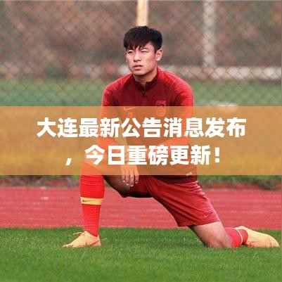 大连最新公告消息发布,今日重磅更新!