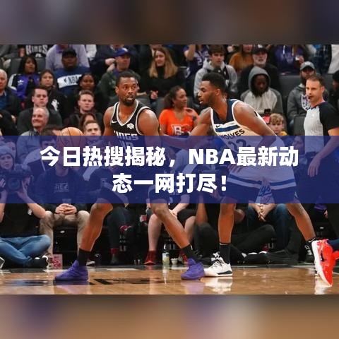 今日热搜揭秘,NBA最新动态一网打尽!