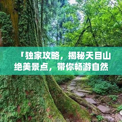 「独家攻略,揭秘天目山绝美景点,带你畅游自然仙境!」