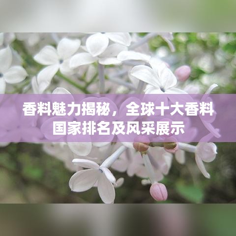 香料魅力揭秘,全球十大香料国家排名及风采展示