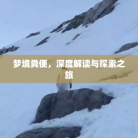 梦境粪便，深度解读与探索之旅