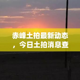 赤峰土拍最新动态,今日土拍消息查询结果揭晓!