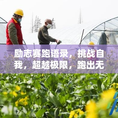 励志赛跑语录,挑战自我,超越极限,跑出无限可能!