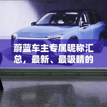 蔚蓝车主专属昵称汇总,最新、最吸睛的昵称大全!