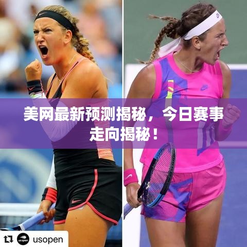 美网最新预测揭秘,今日赛事走向揭秘!