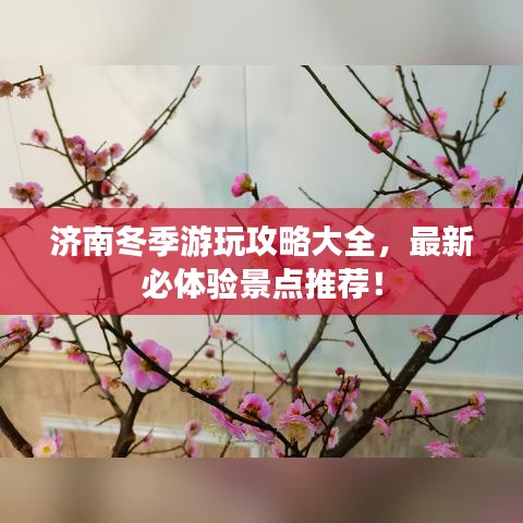 济南冬季游玩攻略大全,最新必体验景点推荐!