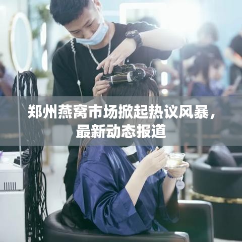 郑州燕窝市场掀起热议风暴，最新动态报道