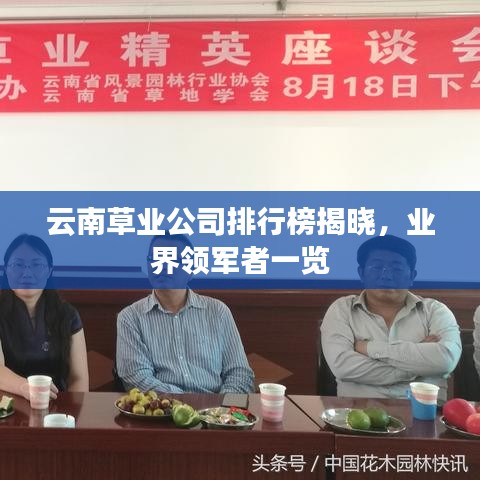 云南草业公司排行榜揭晓,业界领军者一览