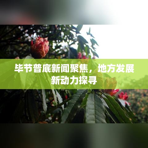 毕节普底新闻聚焦,地方发展新动力探寻