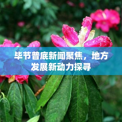 毕节普底新闻聚焦,地方发展新动力探寻