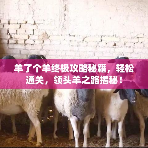 羊了个羊终极攻略秘籍，轻松通关，领头羊之路揭秘！