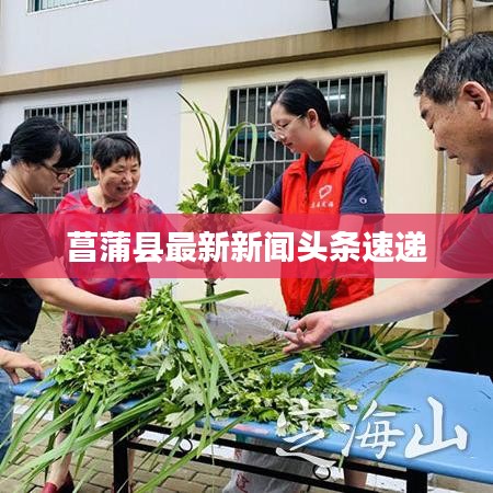 菖蒲县最新新闻头条速递