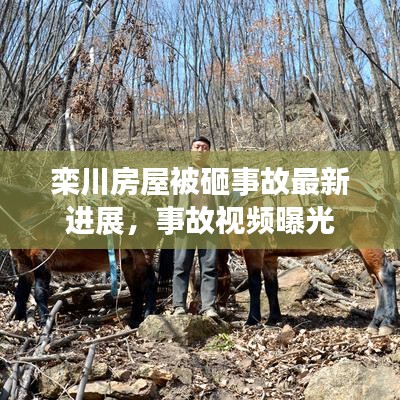 栾川房屋被砸事故最新进展,事故视频曝光