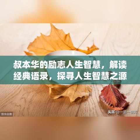叔本华的励志人生智慧,解读经典语录,探寻人生智慧之源